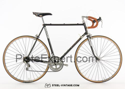 Raleigh Pursuit fiche technique et avis